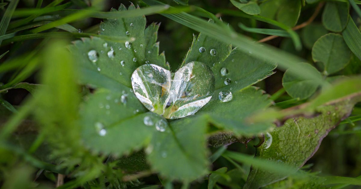 wat zou liefde doen