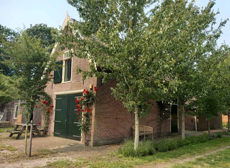 lichaamswerk coaching